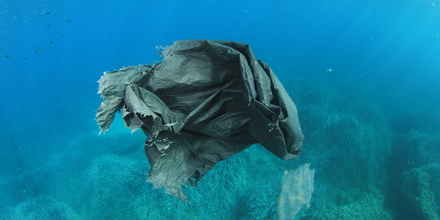 Marine microplastics: IEEP contributes to report leading to UN Environment Assembly resolution